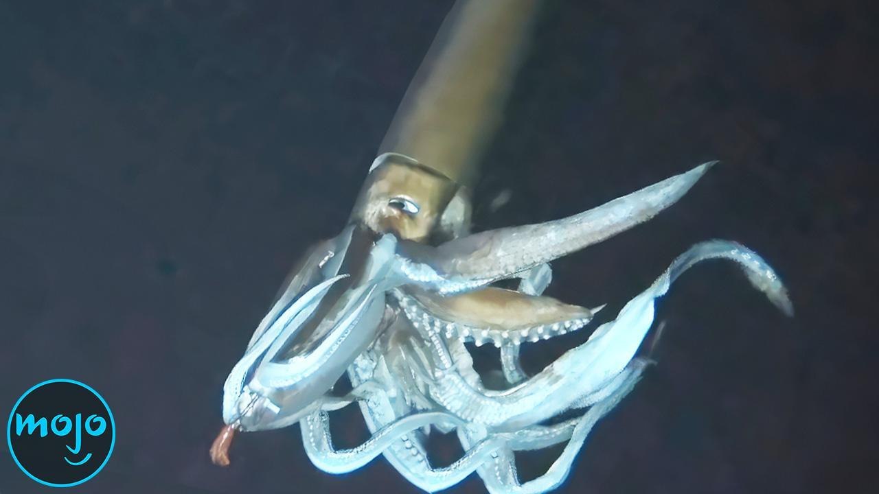 Top 10 Unsolved Deep Ocean Mysteries