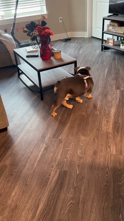 Going Around And Around And Around