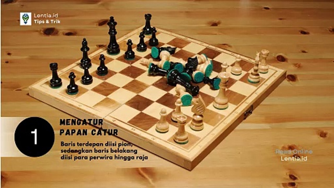 CARA BERMAIN CATUR UNTUK PEMULA