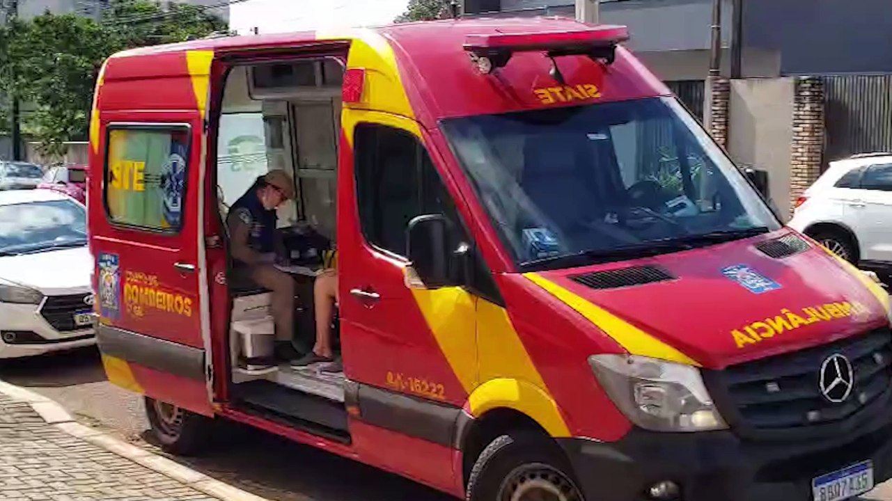 Para salvar gato, mulher enfrenta cachorro e acaba ferida