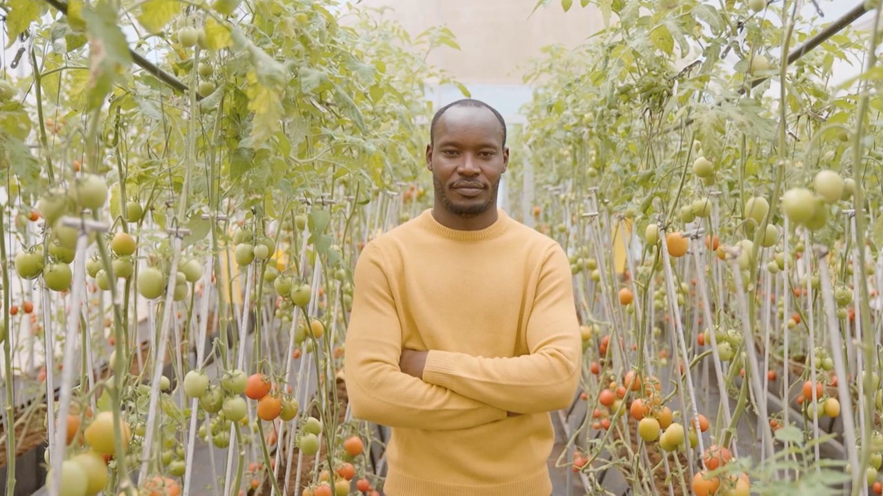 How African innovators are producing climate solutions