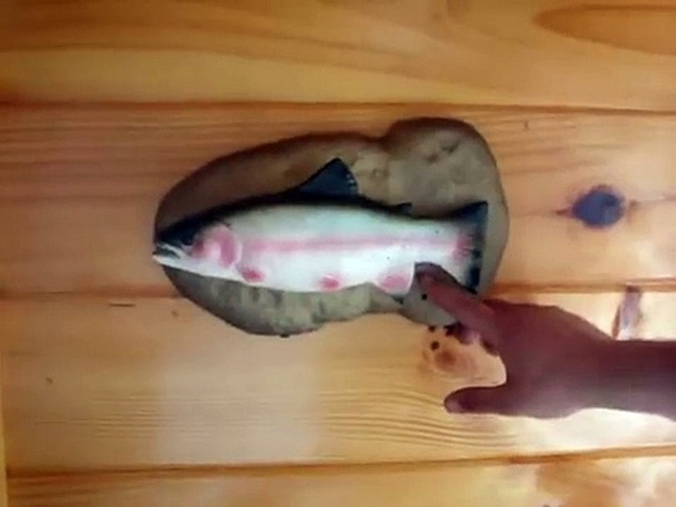 Demon | funny | funny video | funny  videos 2023 | funny video download | funny videos short | funny videos for kids | funny video clips | funny videos 2023 tiktok | funny videos 2022 |  funny videos youtube