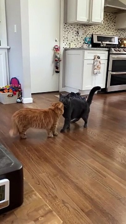 360 degree Side Flip