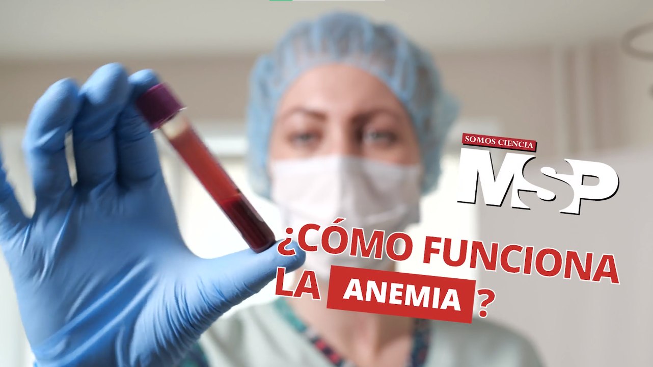 ¿Cómo funciona la anemia? - #ExclusivoMSP