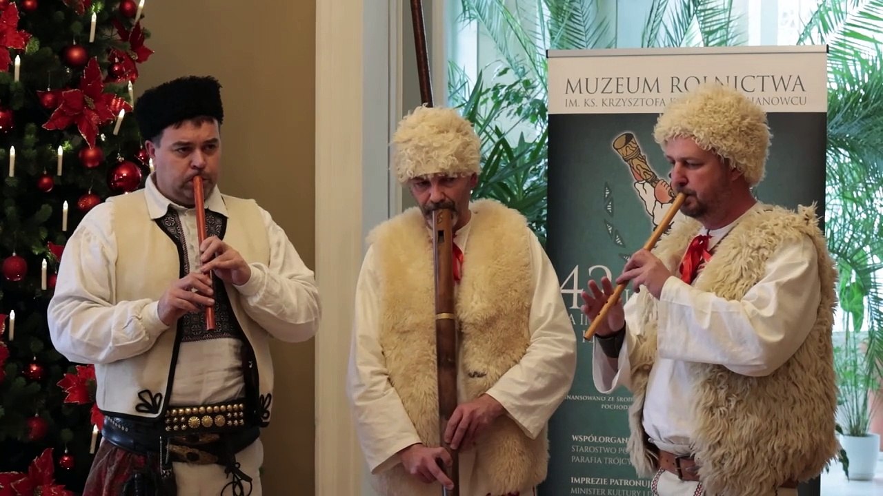 NaM - podlaskie ligawki