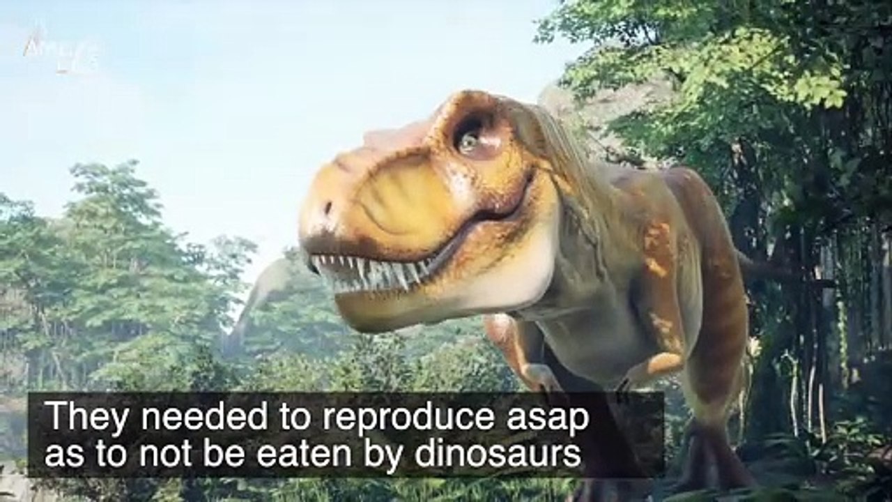 Microbiologists Have a New Theory About Why We Don’t Live To Be 200-Years-Old: Dinosaurs