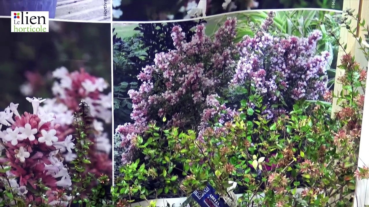 Prix coup de cœur pour les pépinières Minier