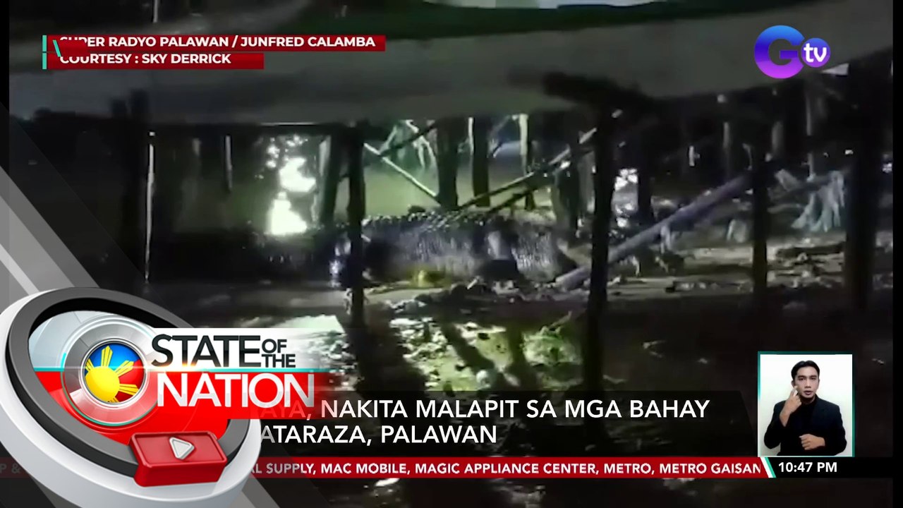Buwaya, nakita malapit sa mga bahay sa Bataraza, Palawan | SONA