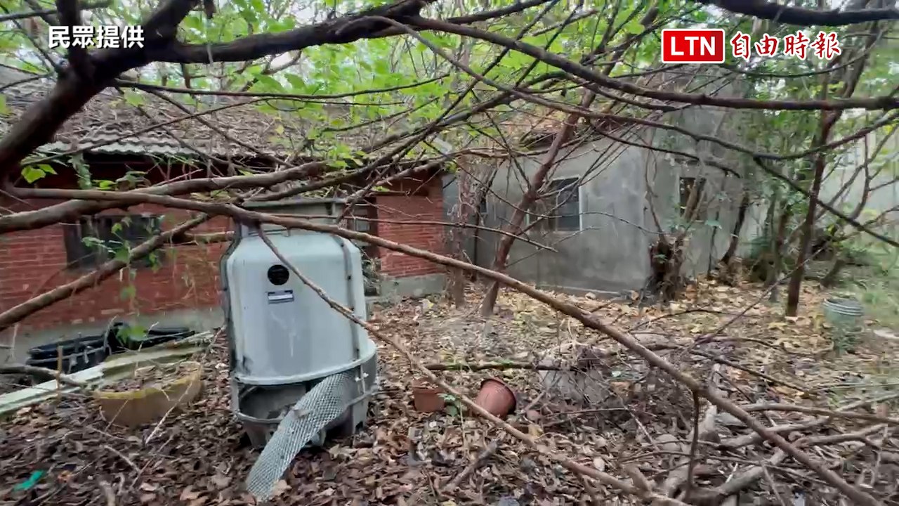彰化和美祖厝曝光！蕭姓宗親證實：蕭美琴阿公在這住過（民眾提供）