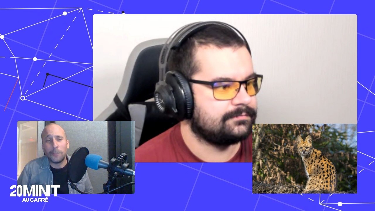 Repérez les projets crypto foireux grâce à Ocelot, enquêteur on chain