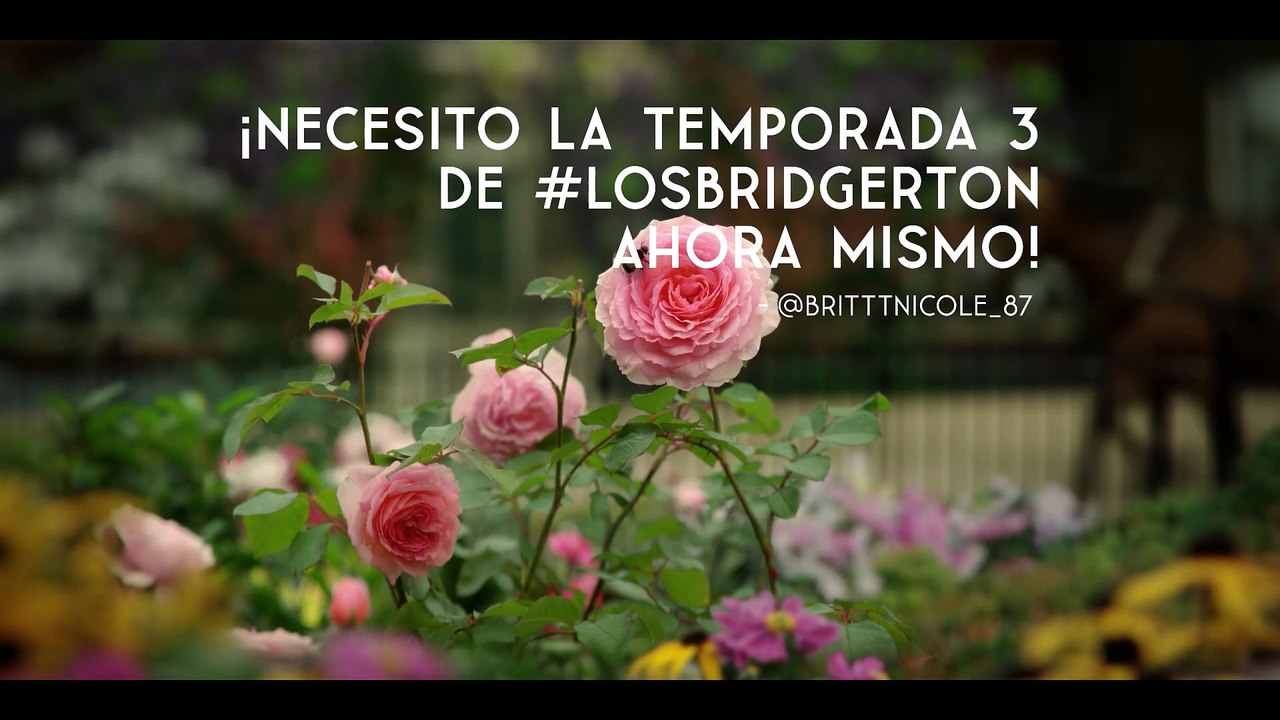 Los Bridgerton - Anuncio Temporada 3 Netflix