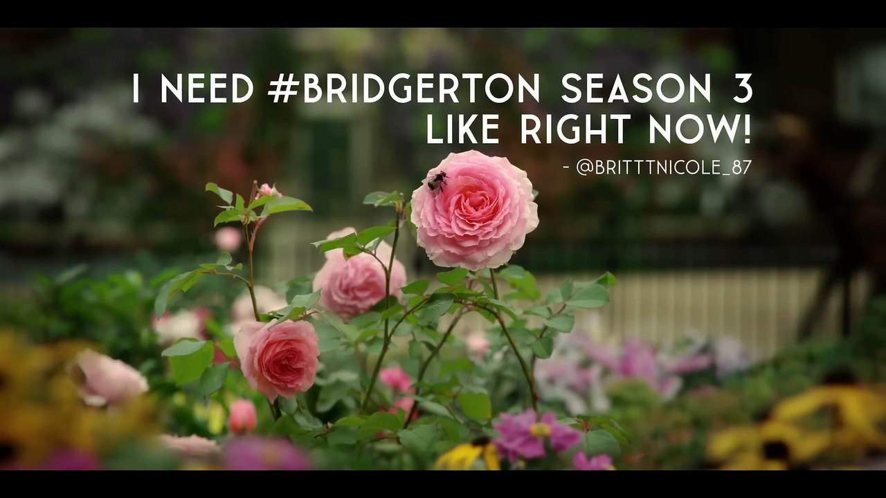 Bridgerton - Season 3 Date Announcement Netflix