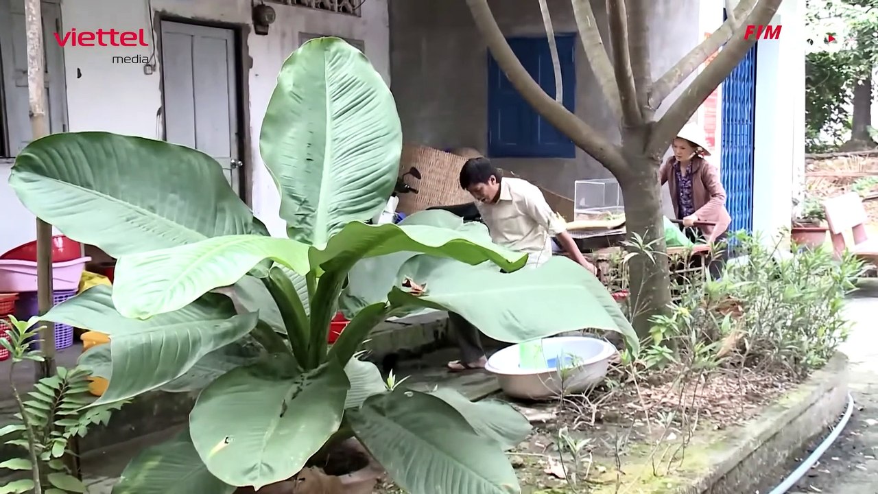 TRẢ GIÁ - TẬP 27- PHIM TÂM LÝ TÌNH CẢM VIỆT NAM HAY NHẤT 2023