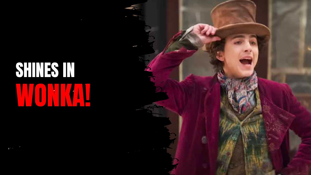 Timothée Chalamet Shines in 'Wonka'