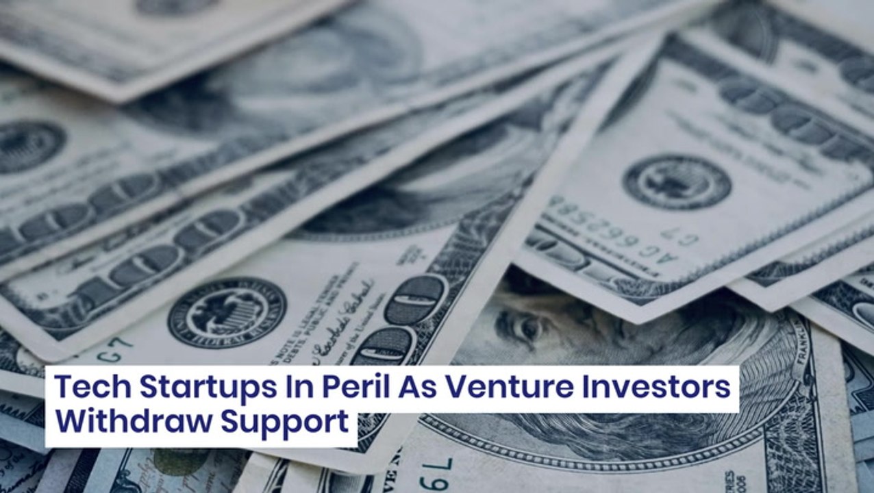 Tech Startups In Peril As Venture Investors Withdraw Support