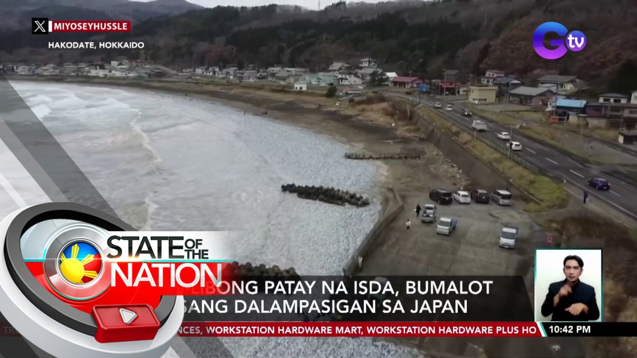 Libo-libong patay na isda, bumalot sa isang dalampasigan sa Japan | SONA