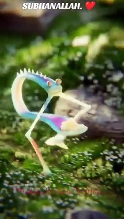 مقالات مفيده