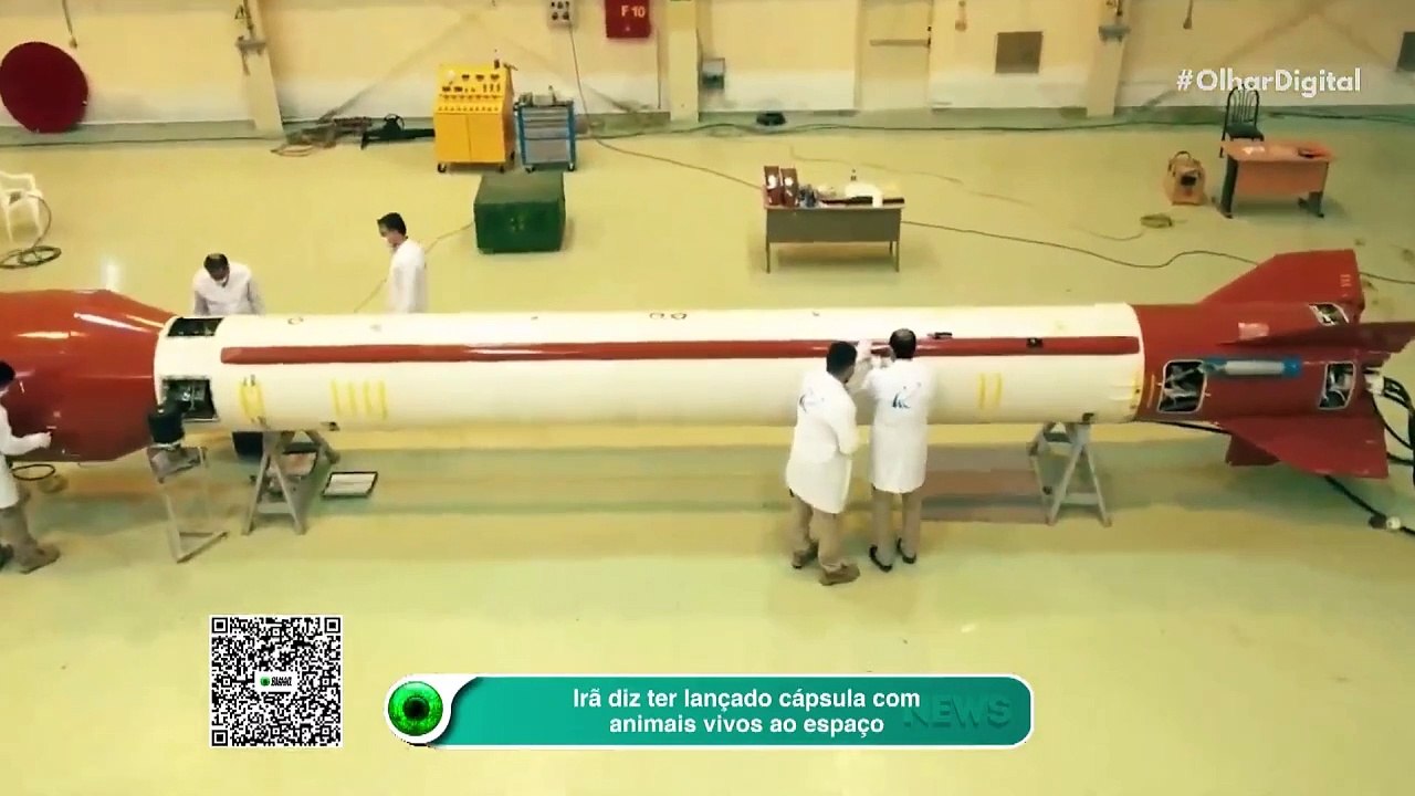 Irã diz ter lançado cápsula com animais vivos ao espaço