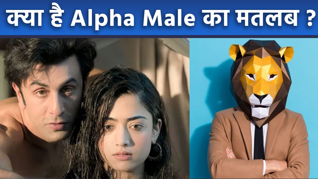 Animal Film Ranbir Kapoor Alpha Male Meaning In Hindi | Alpha Male Real Life Examples | Boldsky