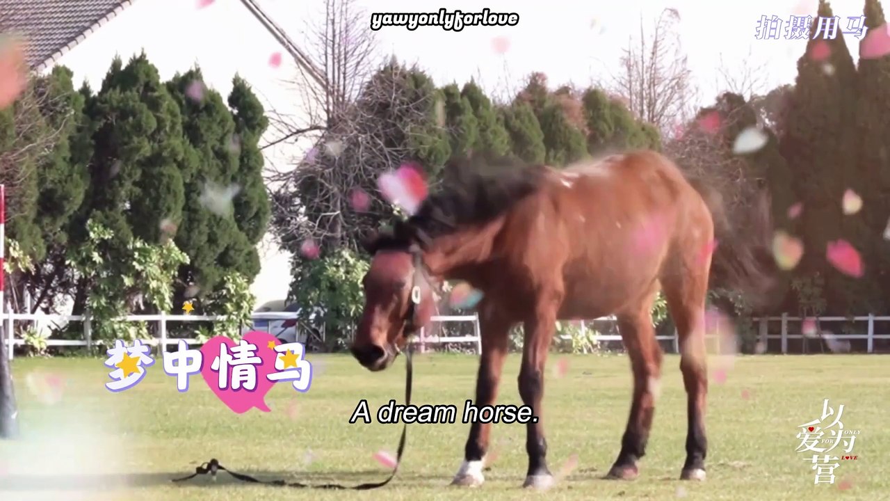 (Eng Sub) 231105 Only For Love Behind The Scene : Shi Yan's Horse Riding Performance