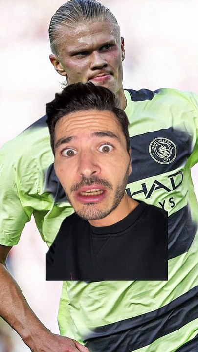 HAALAND DÉMÉNAGEUR 