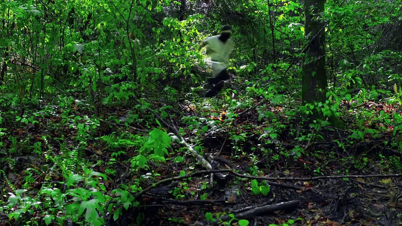 The Dragon Warrior 2011