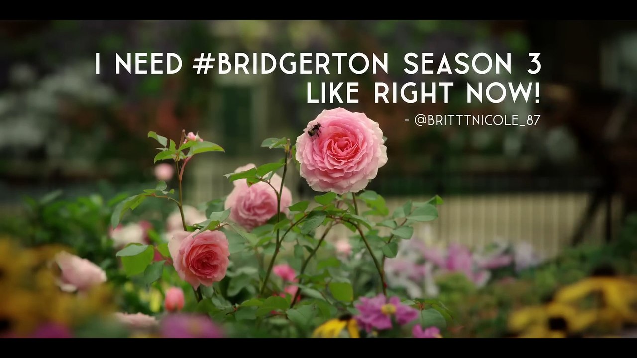 Bridgerton Season 3