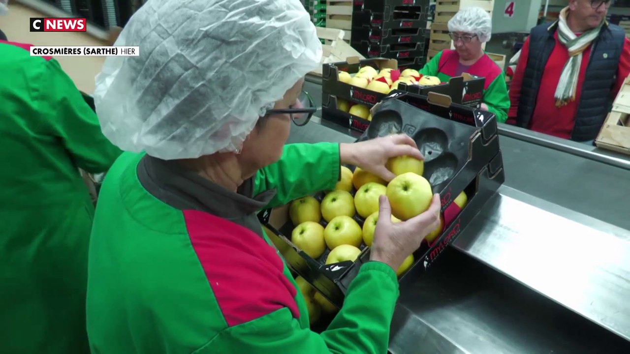 Récolte : la main d'œuvre manque à l'appel pour les arboriculteurs