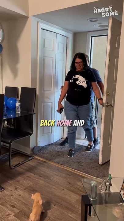 Daughter-in-Law Gifts Adorable Puppy to Overjoyed In-Laws! || #heartsome #surprise