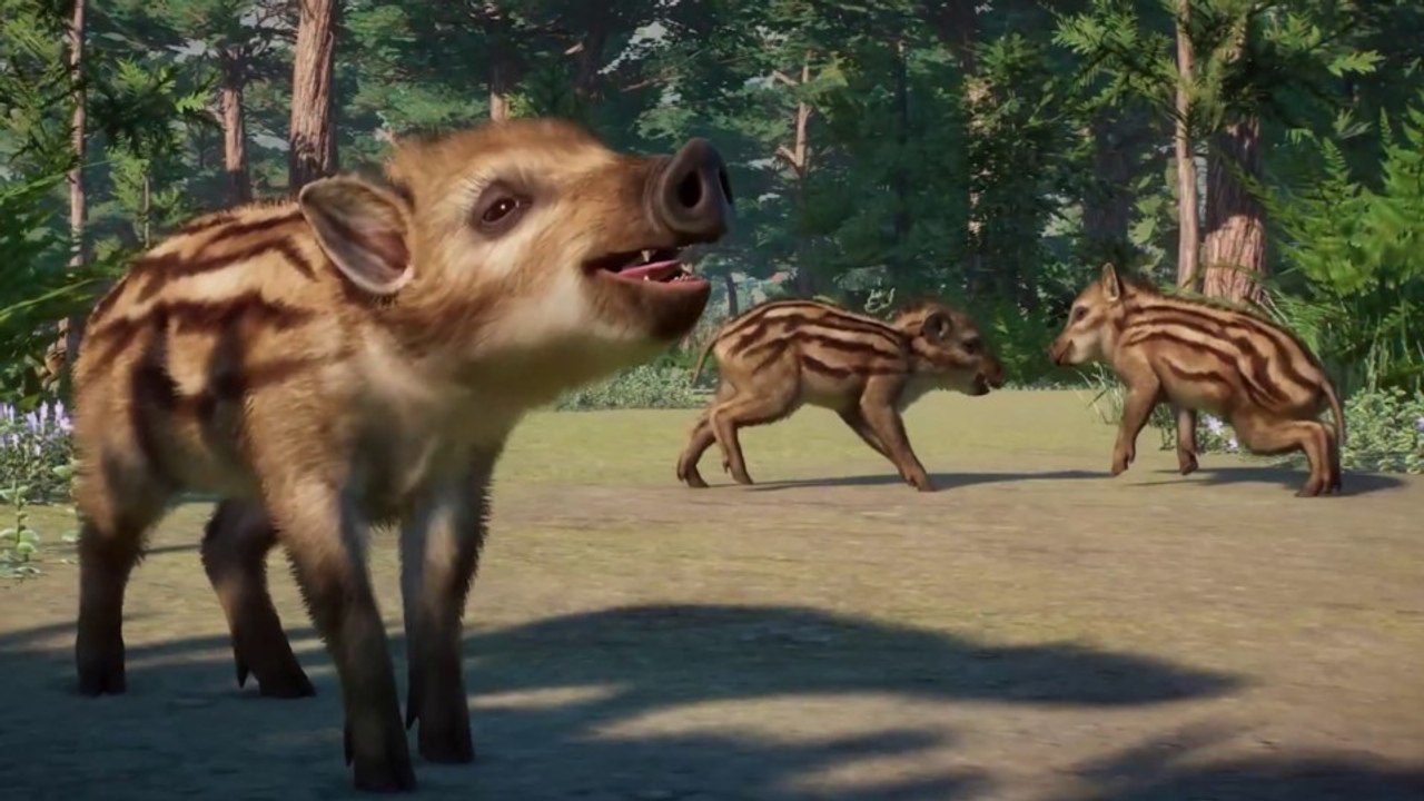 Der neue DLC für Planet Zoo mit neuen Tieren und weiteren Inhalten ist da