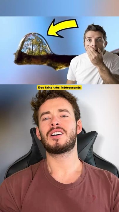 Des faits interessants