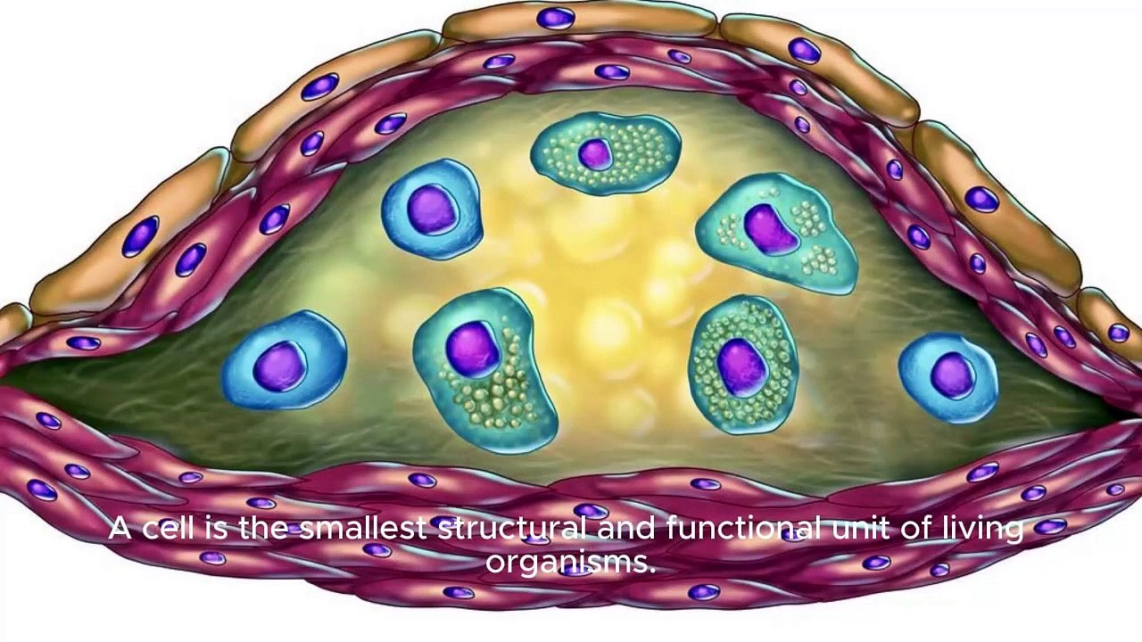 Biology Biology Biology 1