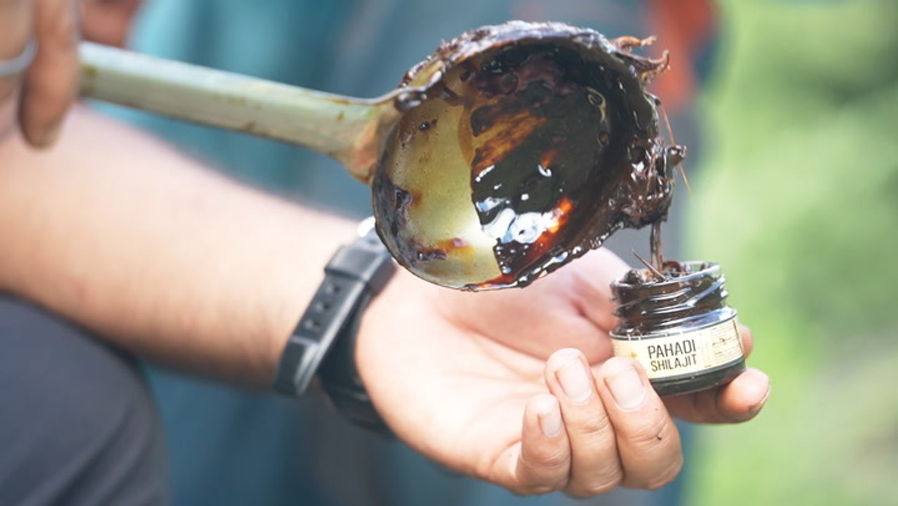 How 'natural Viagra' Is harvested in the deadly cliffs of the Himalayas