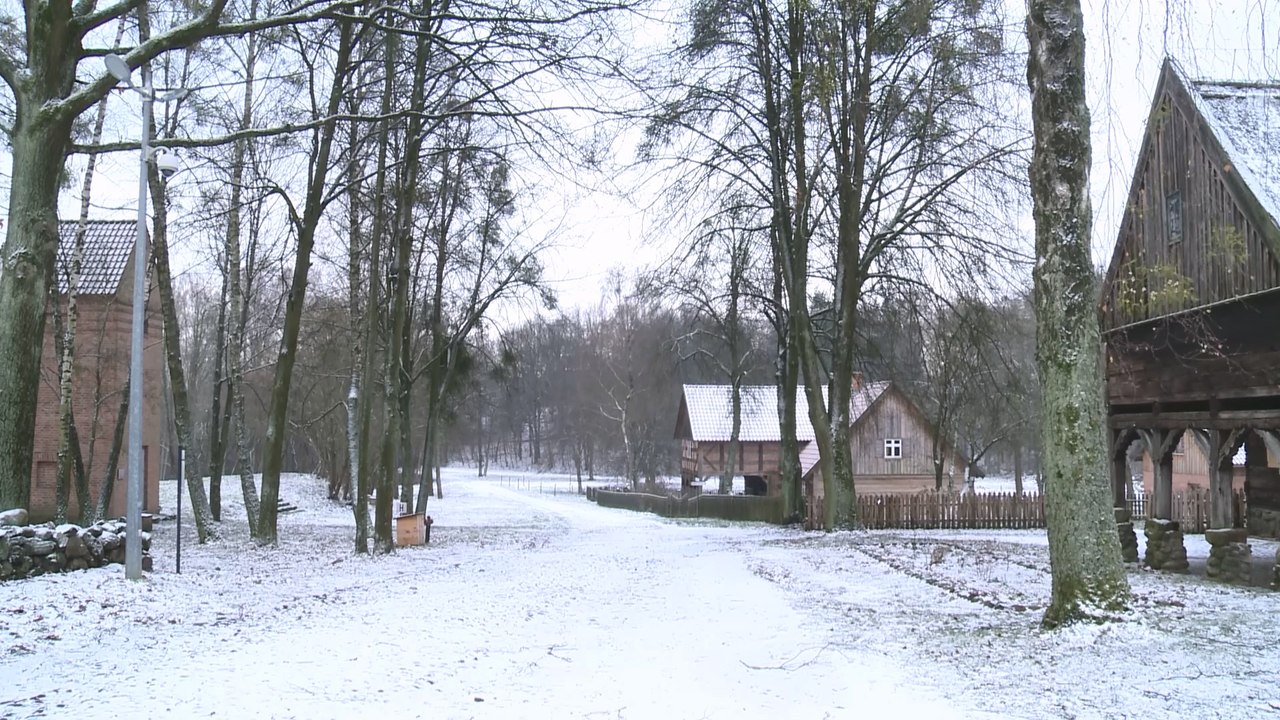 Odkryj najnowsze wydarzenia i atrakcje w Skansenie w Olsztynku 🏞️