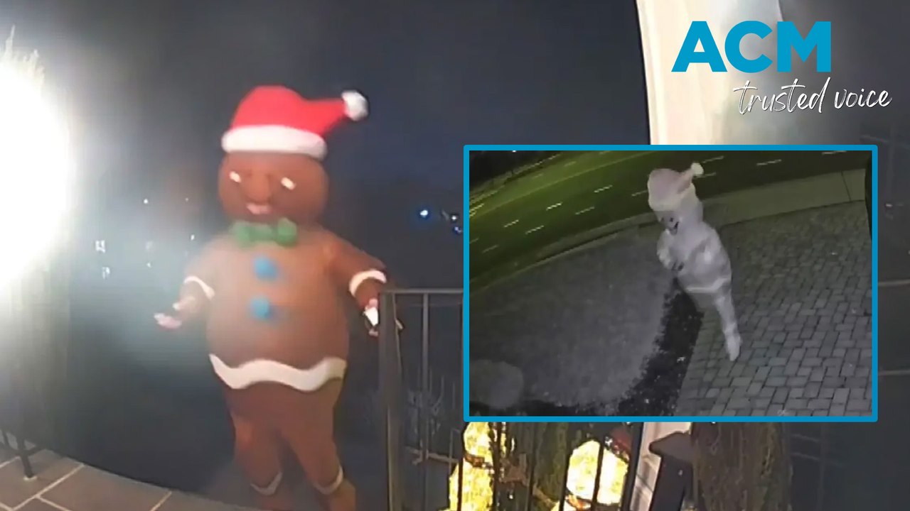 Creepy Gingerbread Man caught making unwanted house call!