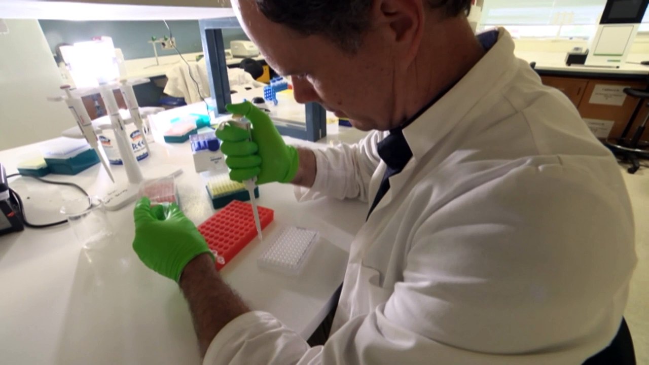 Researchers map crocodile migration with genetic testing