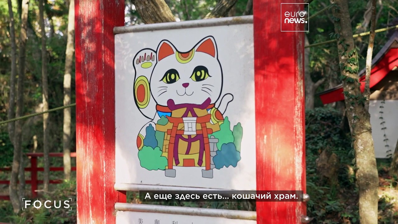 Как олени и кошки разивают туризм в японском регионе Тохоку?