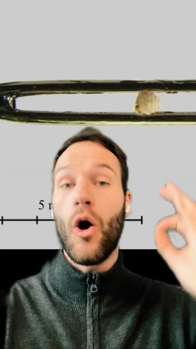 Le plus petit du monde !!