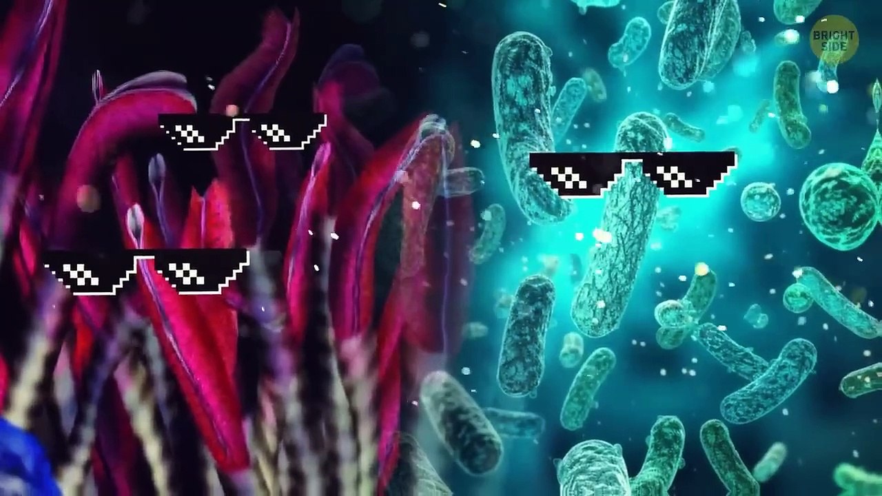 The Floor Of The Ocean Has Sprung A Leak