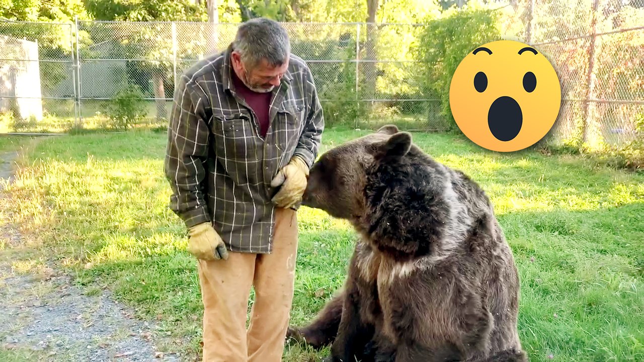 Juggling Mastery, Sea Turtle Talents, and More! ✨ || Best of Internet