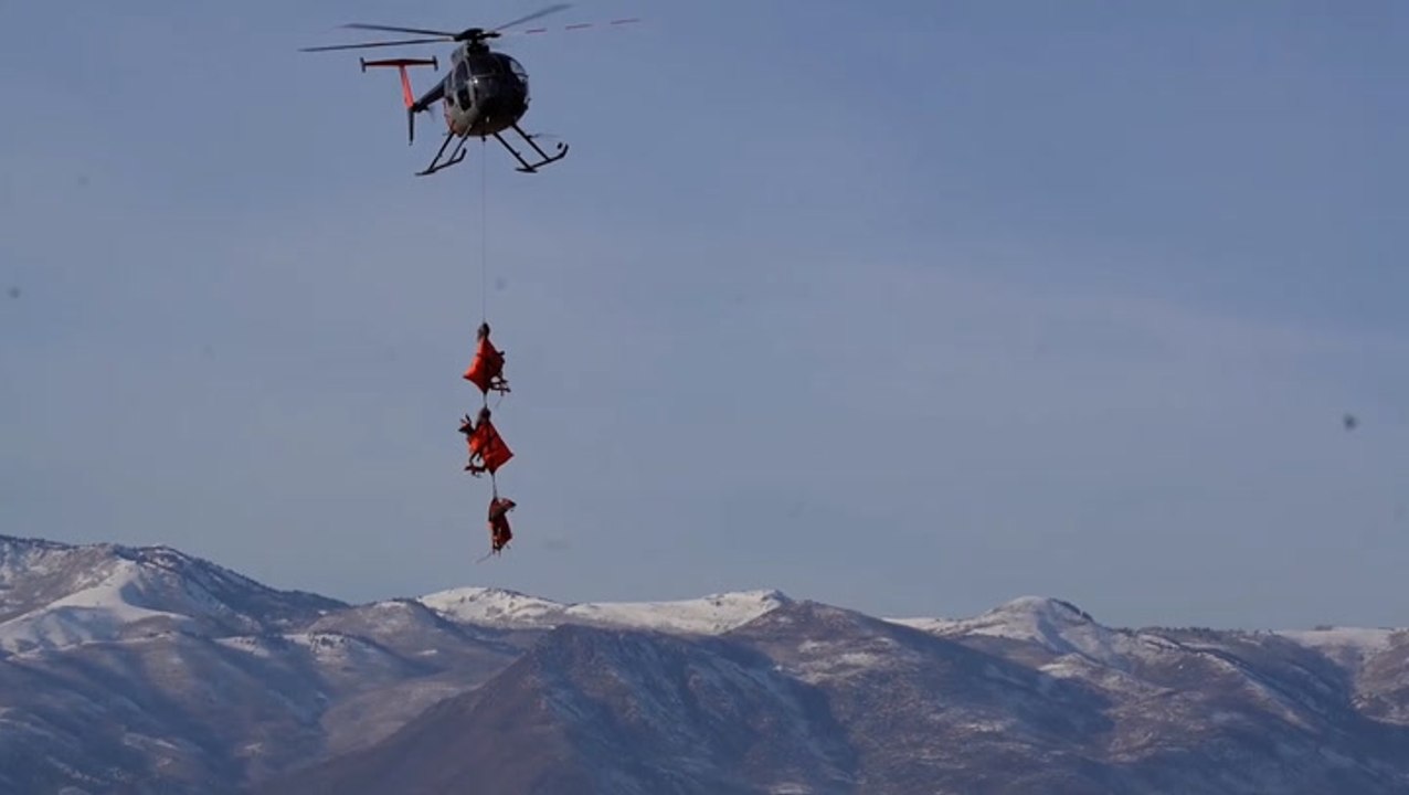Deer fly through Utah skies as wildlife officials track migration habits
