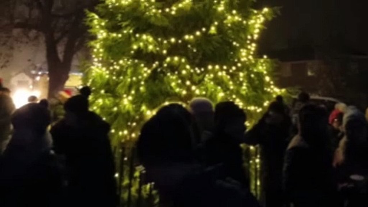 Anita Dobson turns on Elstead's Christmas lights