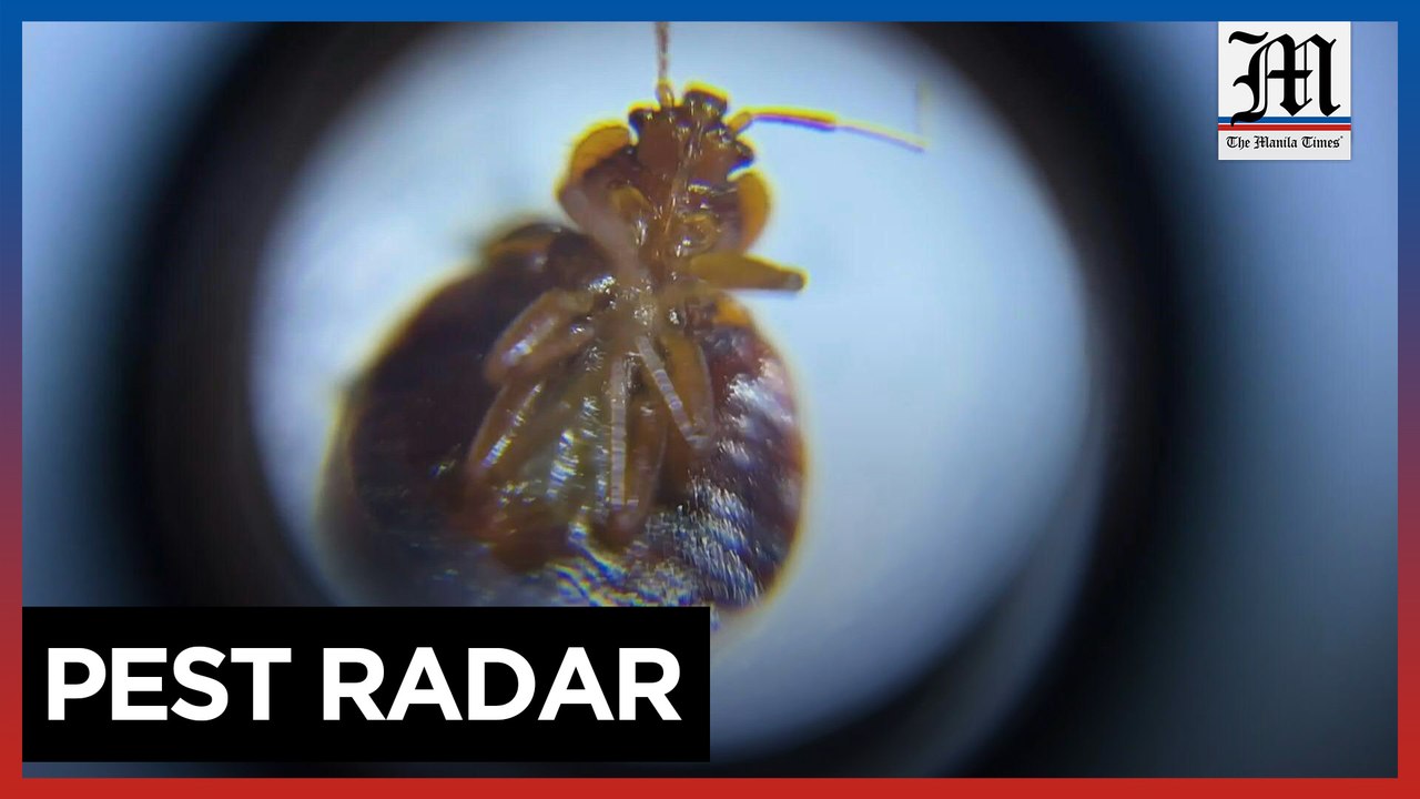 South Korean Engineer Uses Data to Fight Bedbug Infestation 🐜