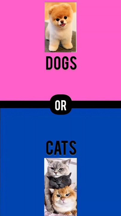 What would you rather?