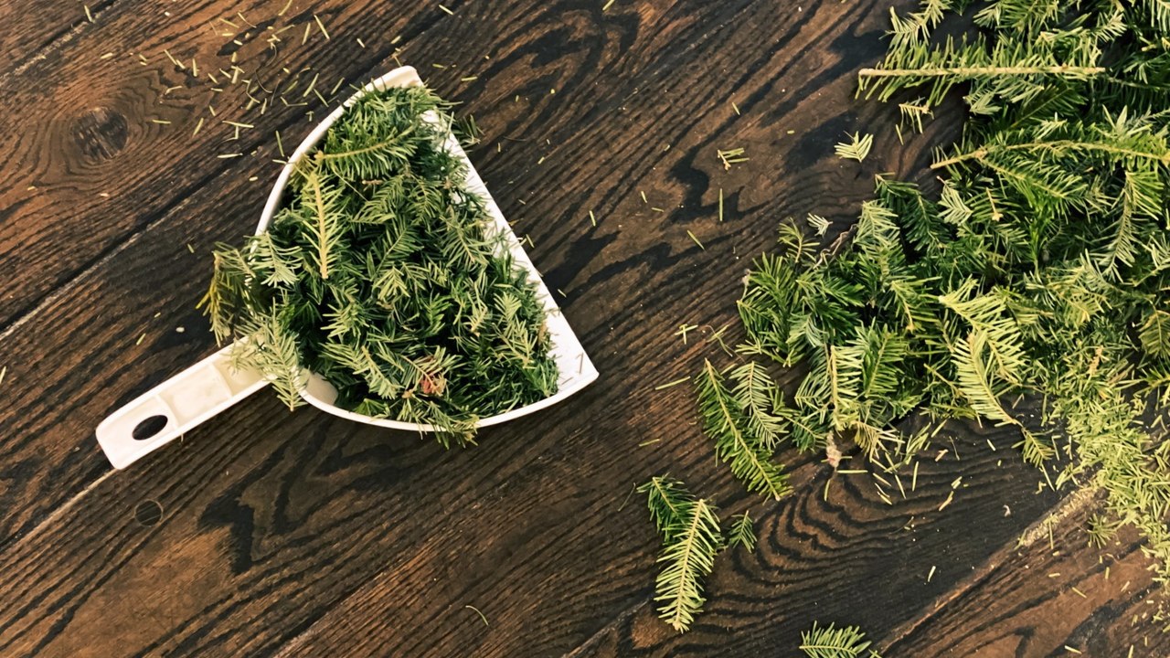 How to Tell When It’s Time to Say Good-bye to Your Christmas Tree