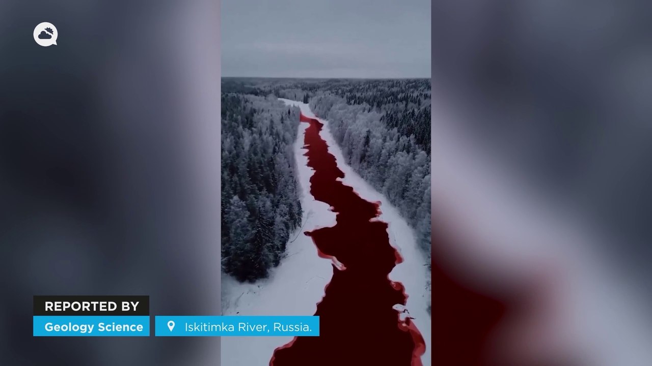 Top 10 de Meteored 2023