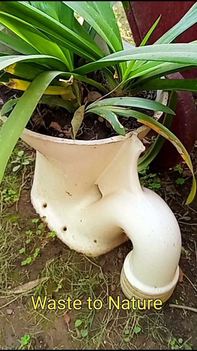 Naresh Kohli Garden-2