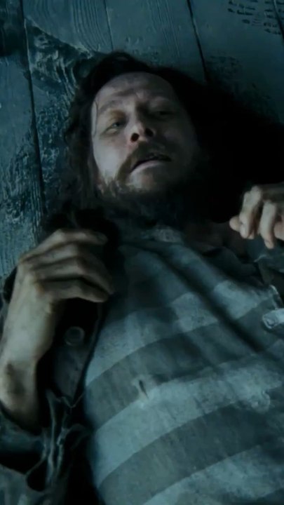 Sirius Black médiocre dans Harry Potter ?