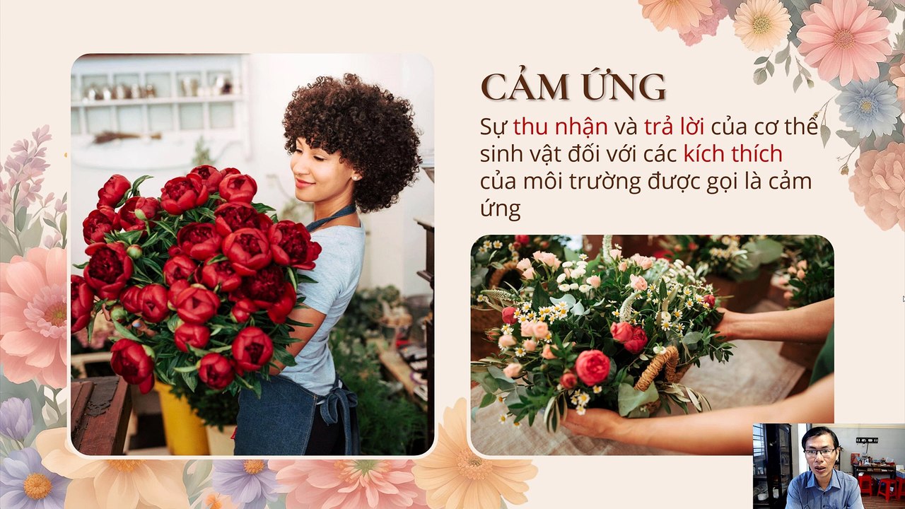 Sinh 11- Bài 14 15 Khái quát cảm ứng ở sinh vật - Cảm ứng ở thực vật