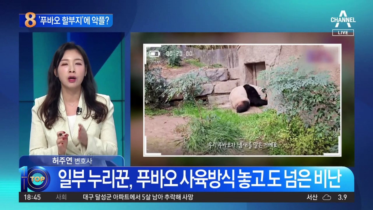 ‘푸바오 할아버지’에 악플…에버랜드 “삭제 조치”